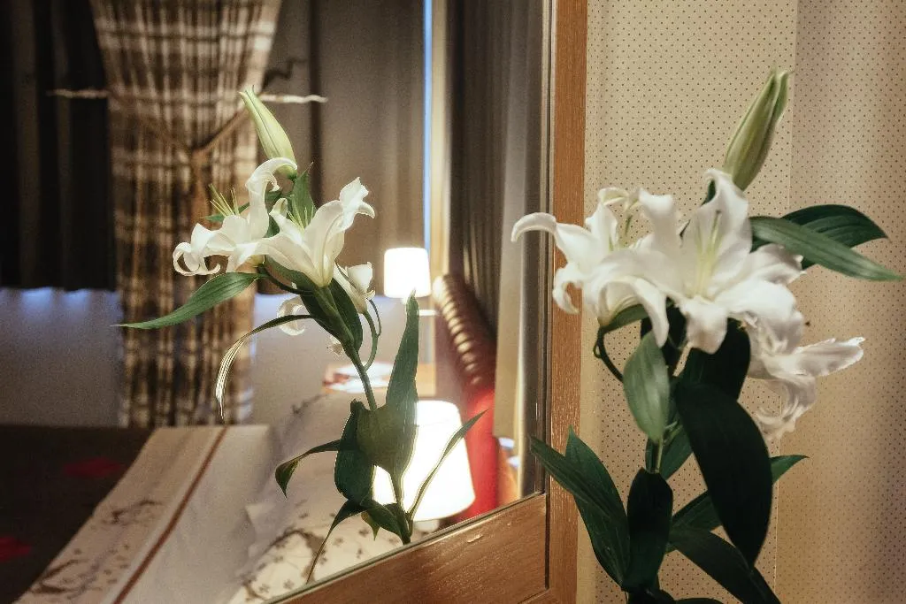 Double or Twin STANDARD Room, Alexandros Boutique Hotel, Kalamata