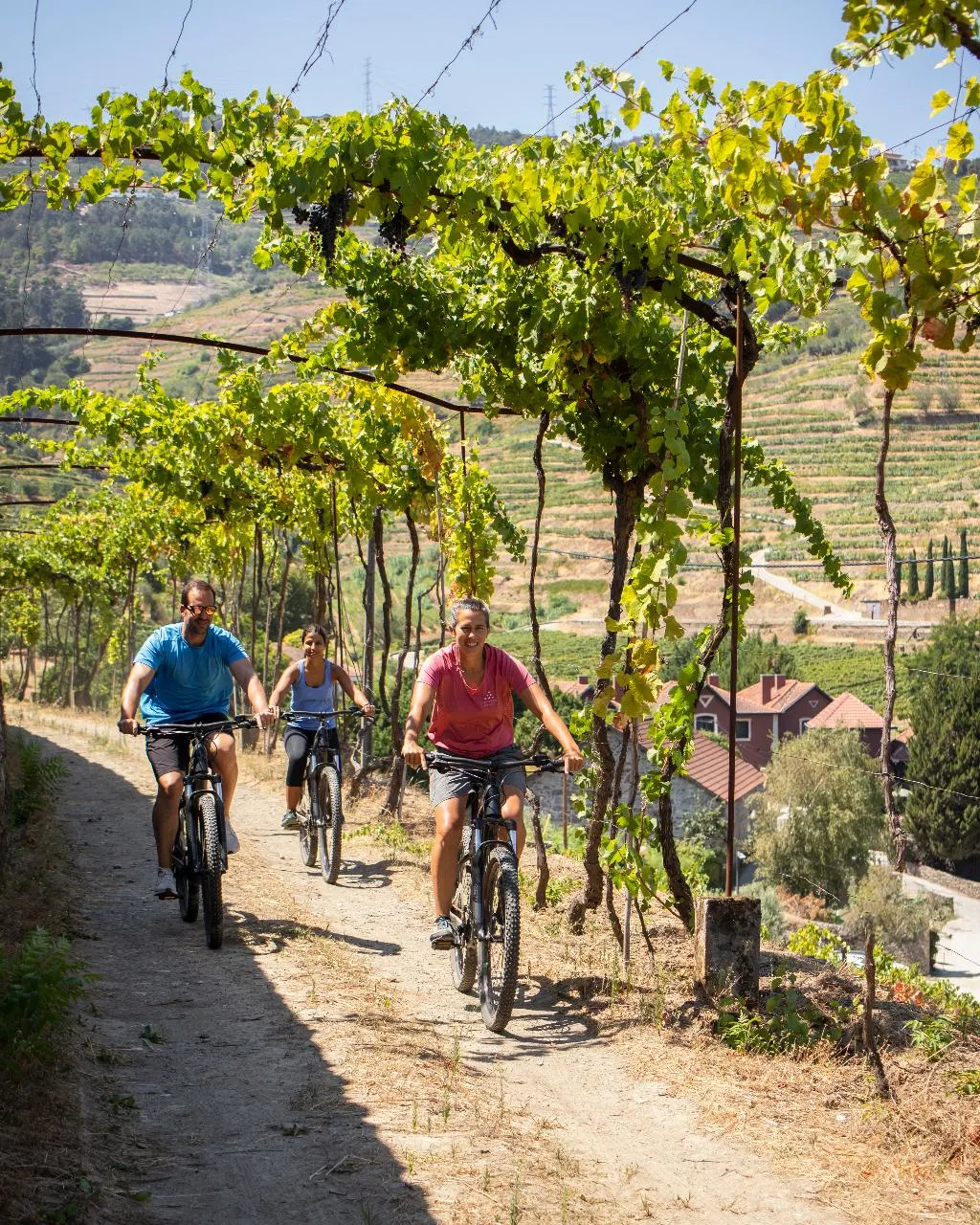 Sports and Entertainment, Six Senses Douro Valley, Porto