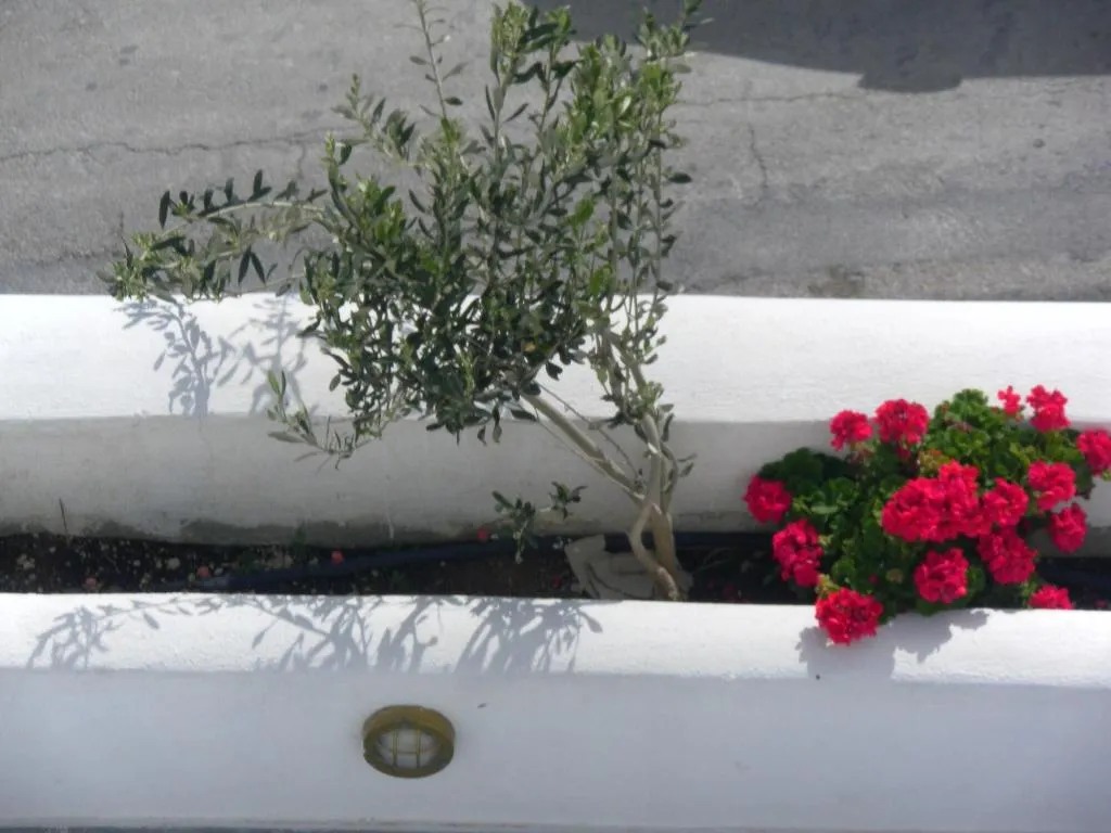 General view, Summertime, Santorini
