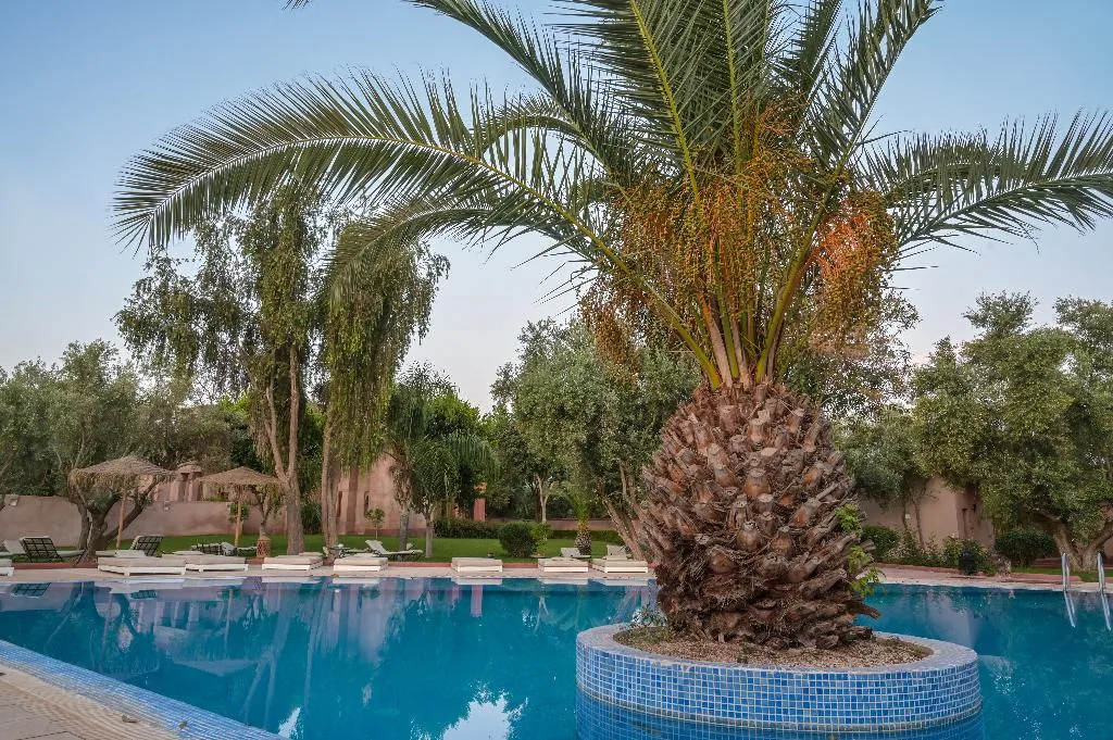 Pool, Riad La Maison des Oliviers, Marrakech