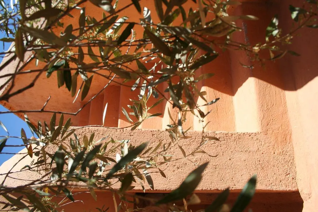 General view, Riad Zitouna, Marrakech