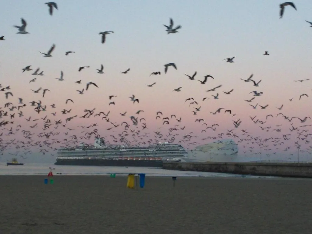 Beach, Hotel Amadeos, Porto