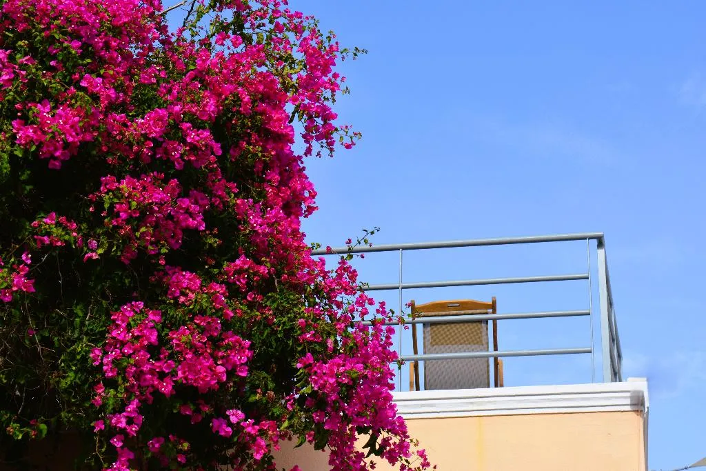 Terrace, Kykladonisia Traditional Settlement, Santorini