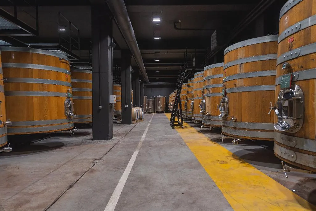 Sports and Entertainment, ROXANICH Winery and Design Hotel, Istria