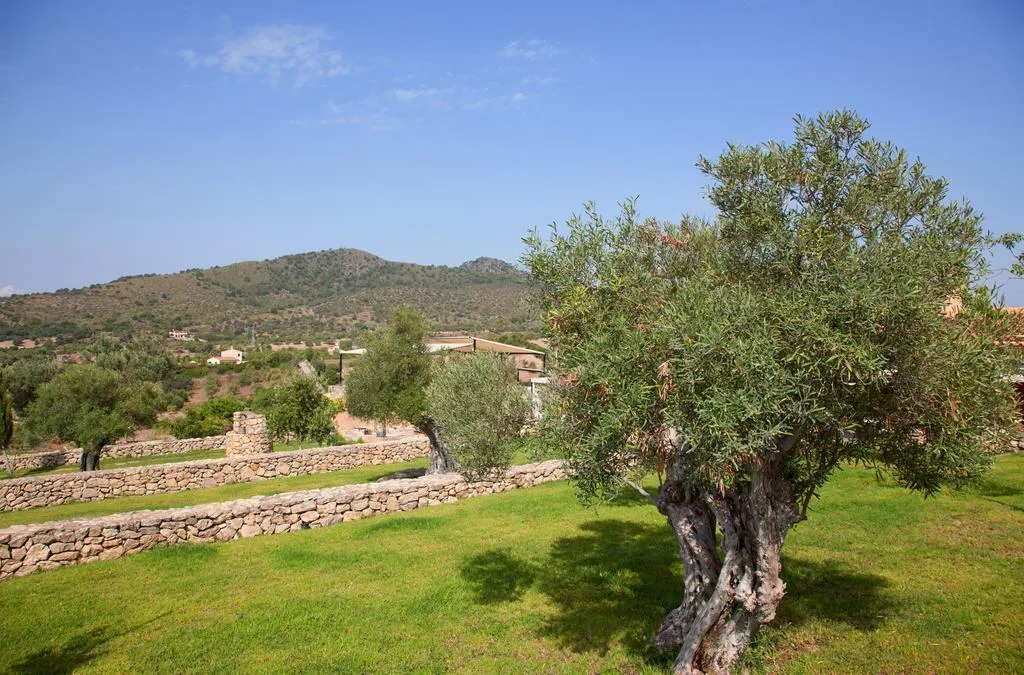 General view, Ses Cases de Fetget, Majorca