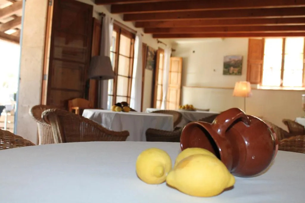 Restaurant, Nou Dalt Muntanya, Majorca