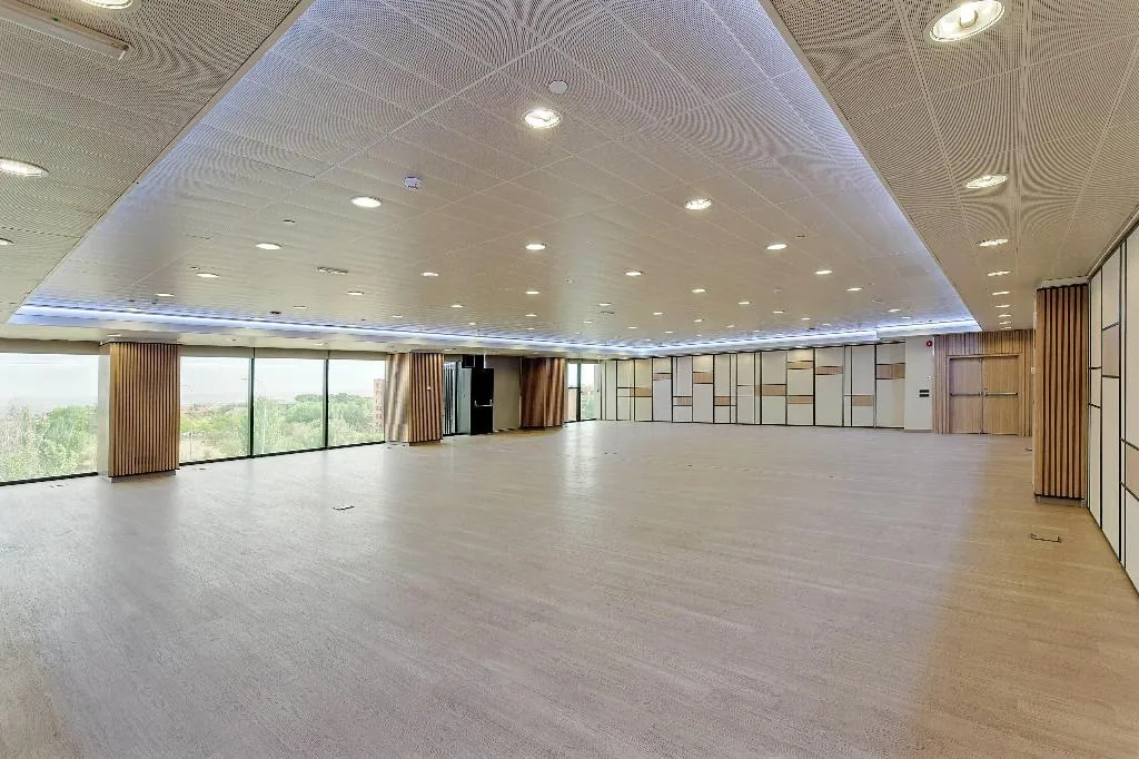 Conferences, Melia Avenida America, Madrid