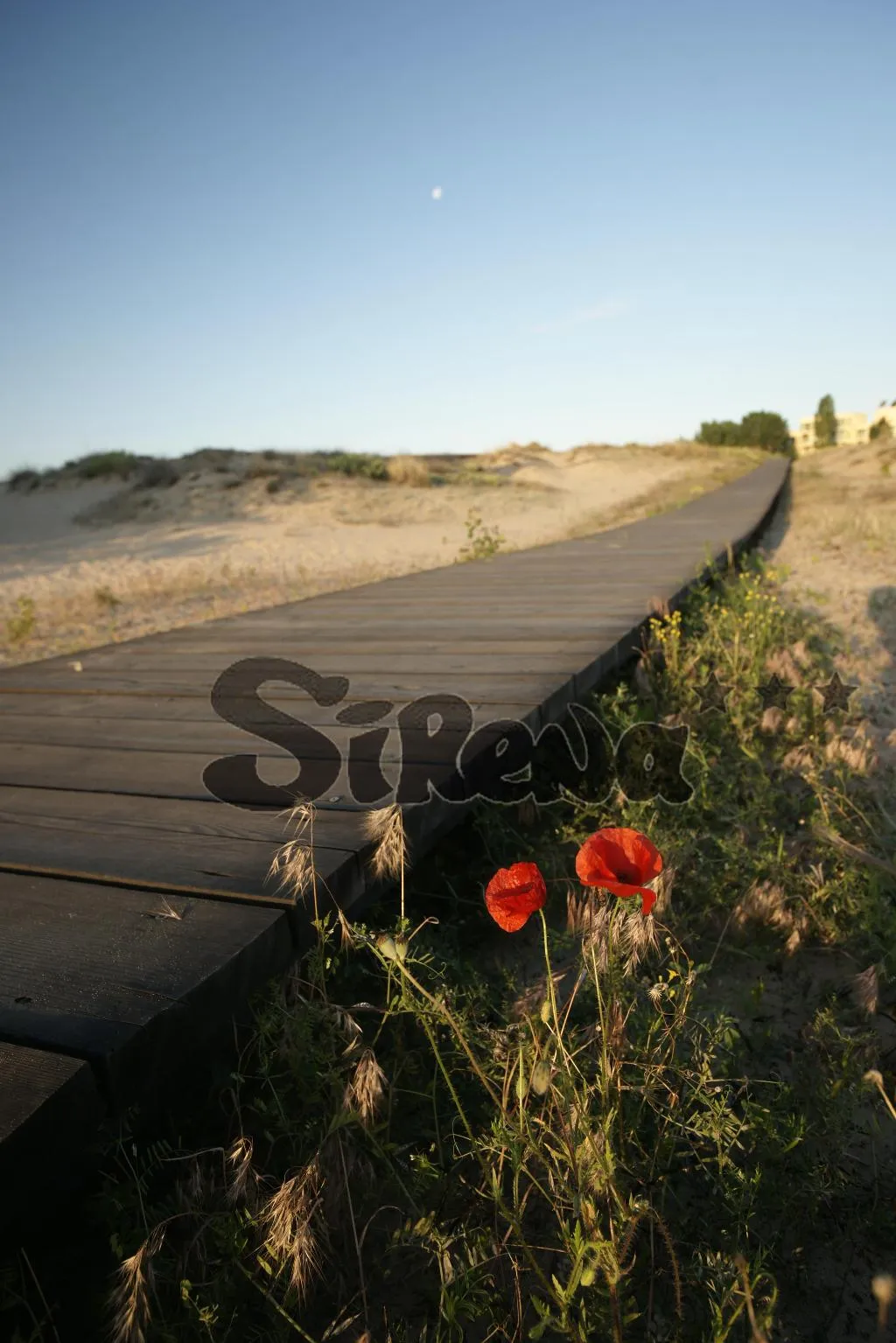 Beach, Sirena, Bourgas