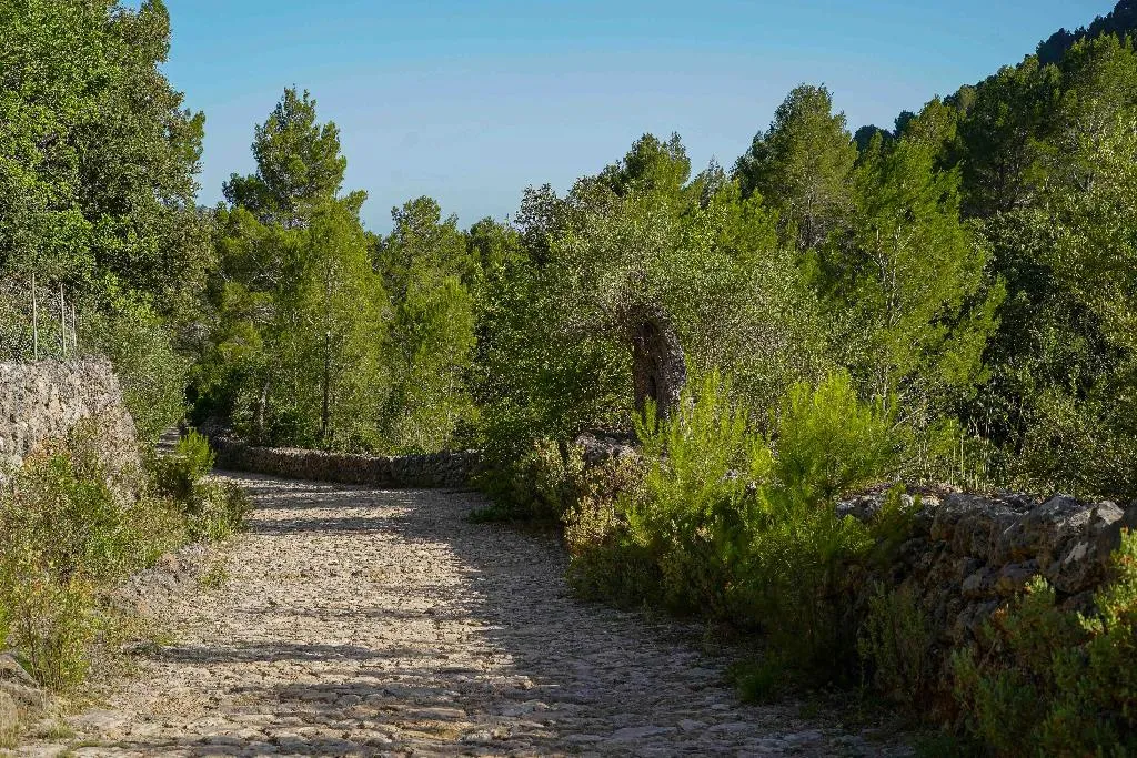 Sports and Entertainment, Hotel Rural S'Olivaret, Majorca