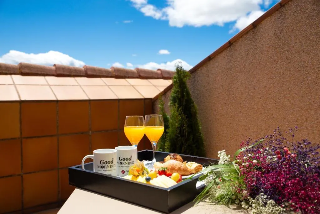 DOUBLE SINGLE USE WITH TERRACE Room, Dorma Reina Isabel, Madrid