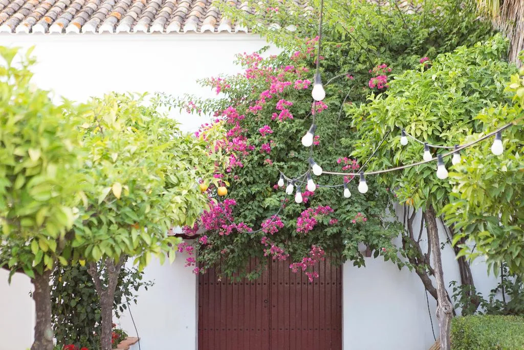 General view, Cortijo del Arte, Costa Del Sol