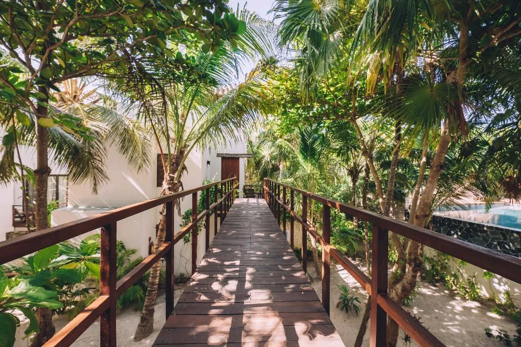 General view, Chiringuito Tulum, Cancun Area