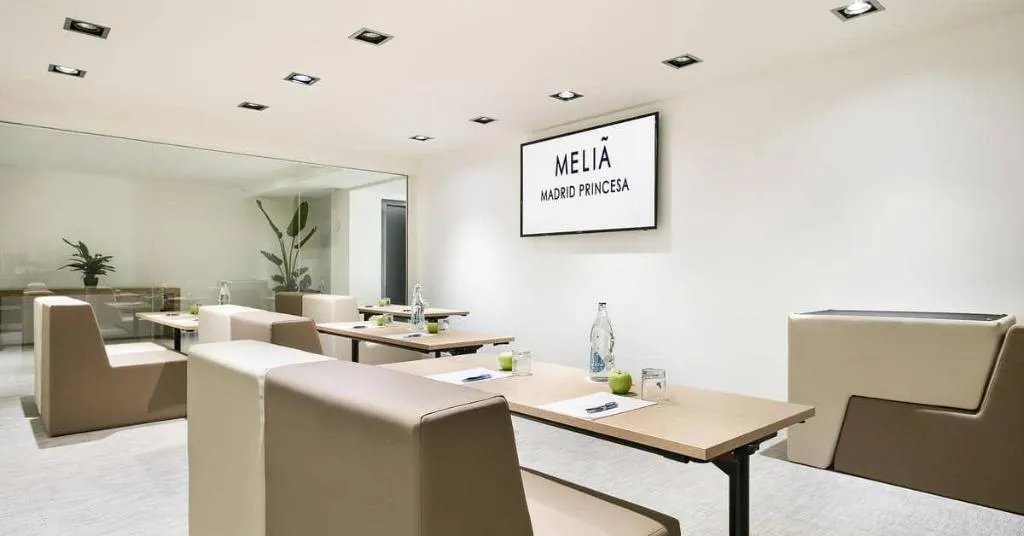 Conferences, Melia Madrid Princesa, Madrid