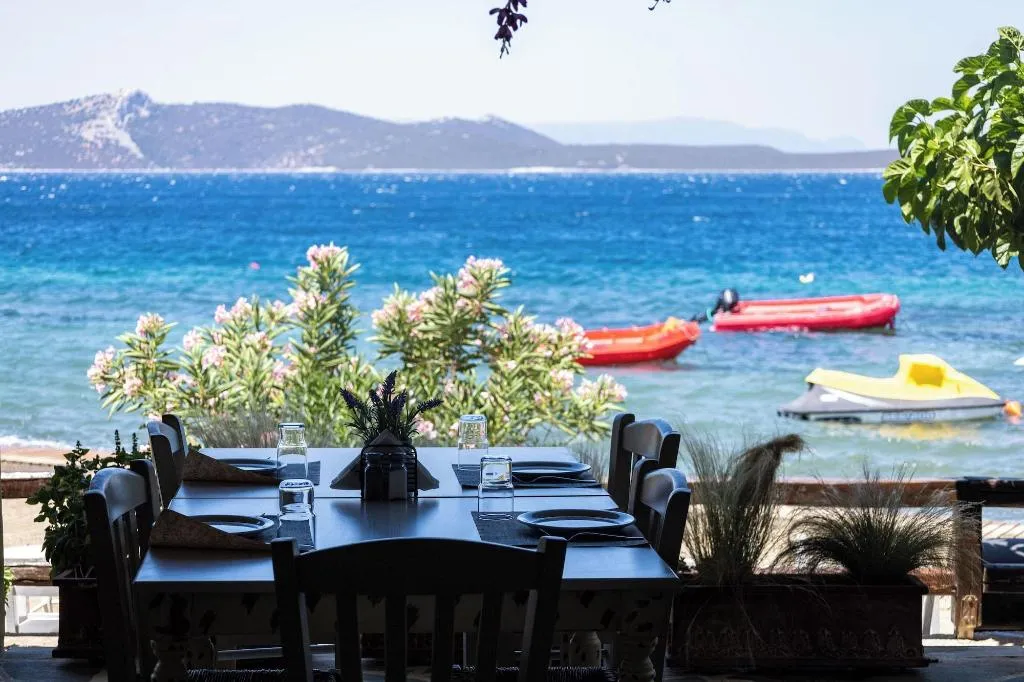 Restaurant, Venus Beach Hotel, Athens
