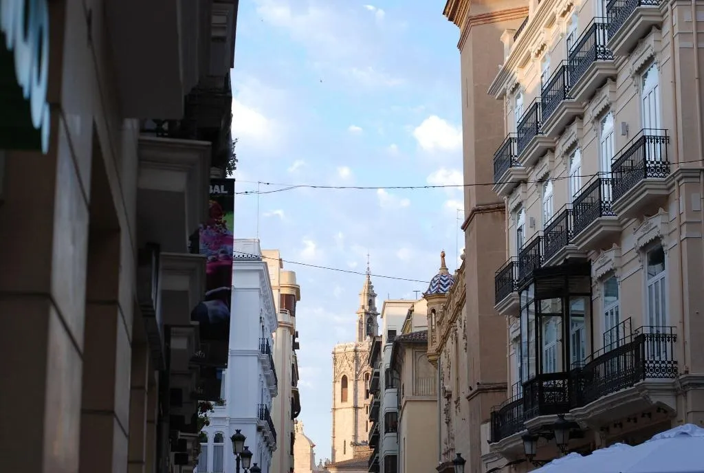 General view, San Lorenzo Boutique Hotel, Valencia