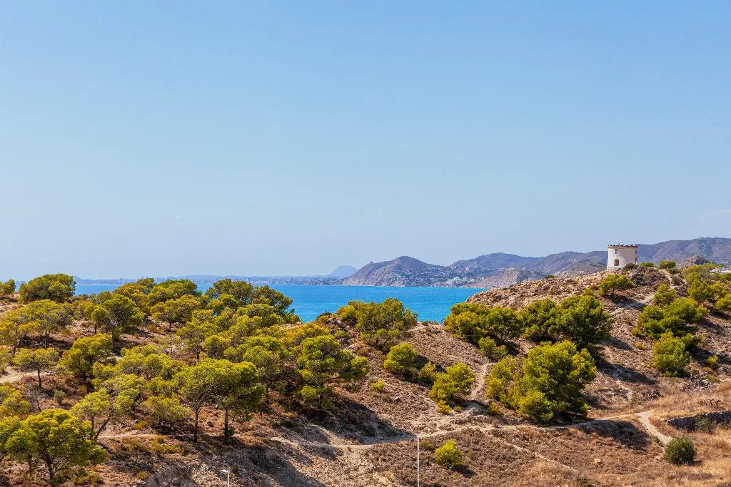 Beach, Blueline Apartmenthotel, Costa Blanca