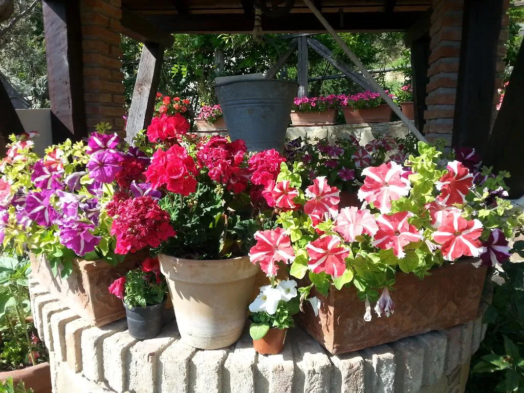 Lobby, Agriturismo L'Uliveto, Palermo