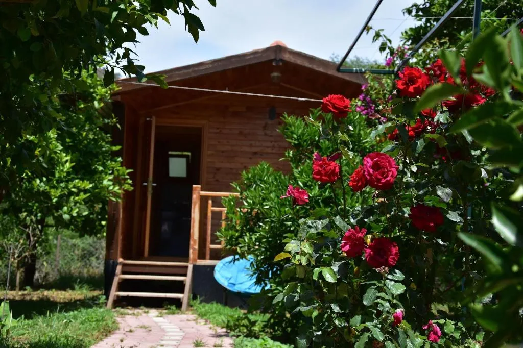 General view, Lemon Garden Lodge, Antalya