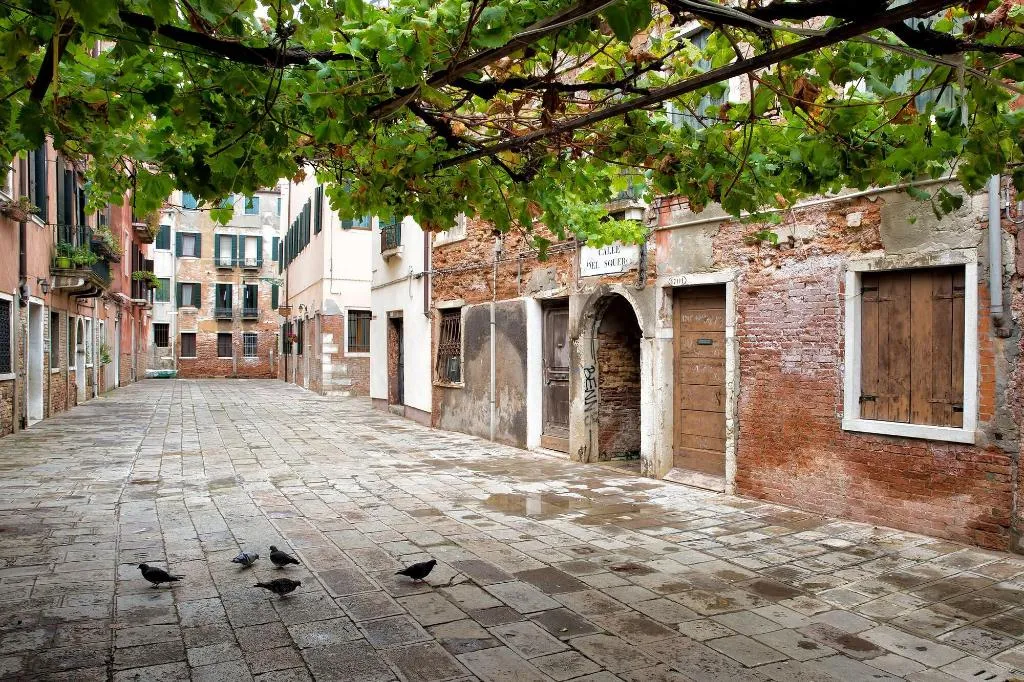General view, Alla Vite Dorata, Venice