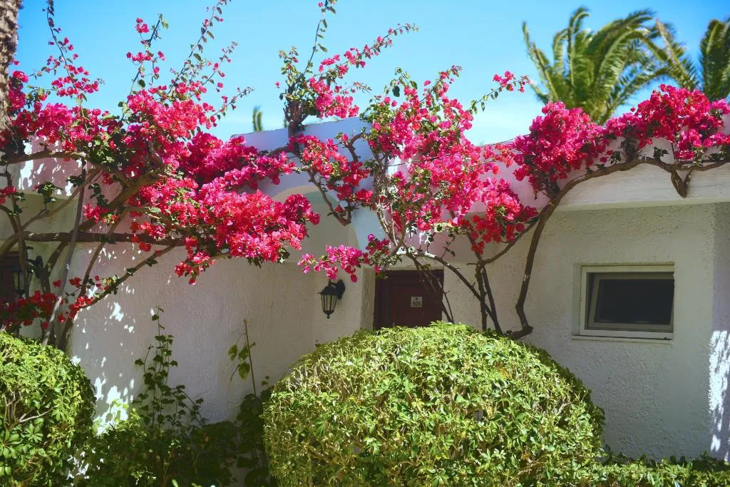 BUNGALOW GARDEN VIEW Room, Blue Horizon, Rhodes