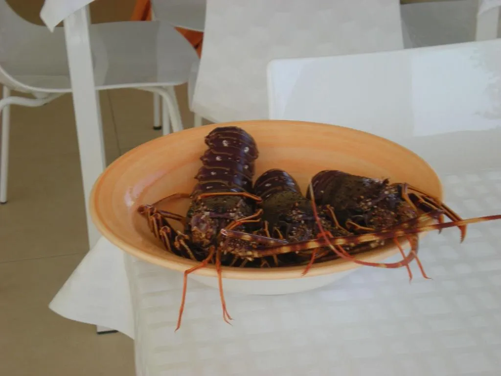 Restaurant, Suite Beach B&B and Club, Palermo