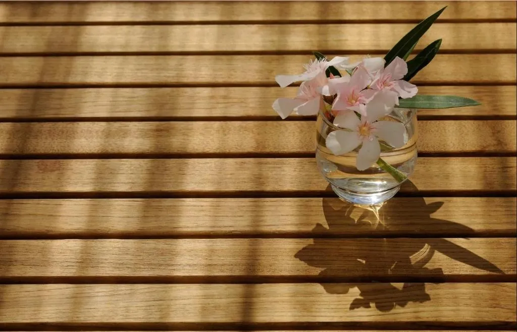 Terrace, Hotel Osejava, Split