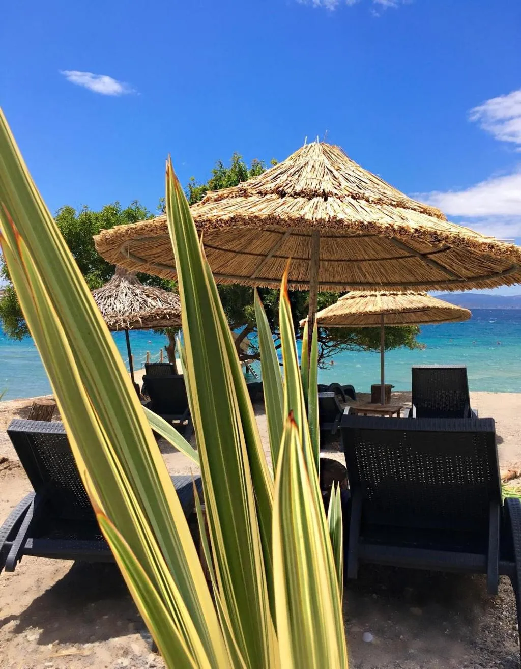 Beach, Sato Design Hotel - Adults Only, Izmir