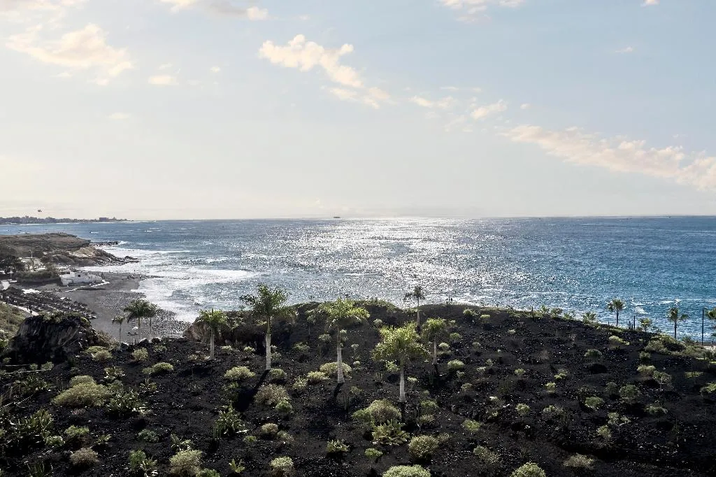 Beach, Royal Hideaway Corales Suites, Tenerife