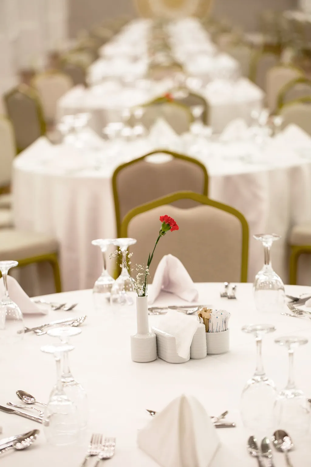 Conferences, Sensitive Premium Resort & Spa, Antalya