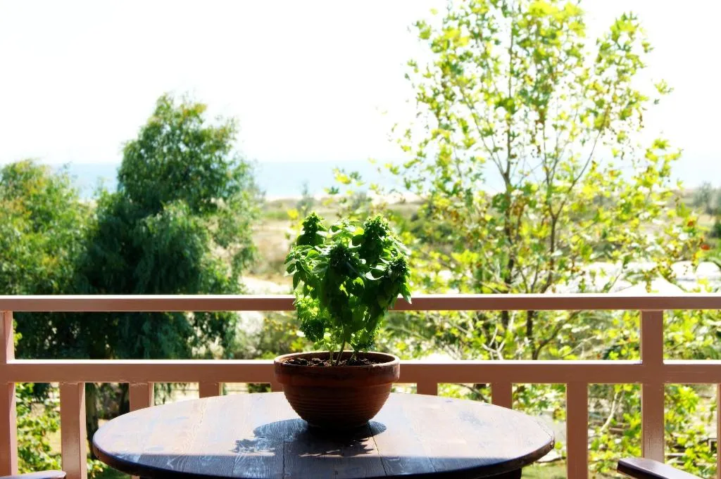 General view, Elizabeth's House, Halkidiki