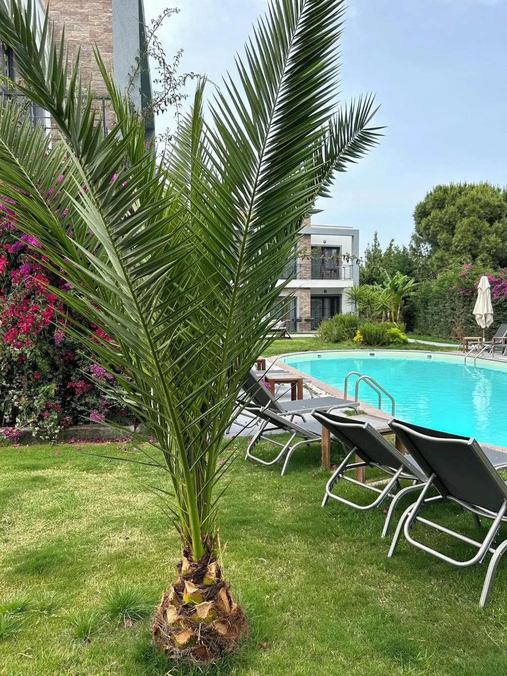General view, Malta Hotel Bodrum, Bodrum