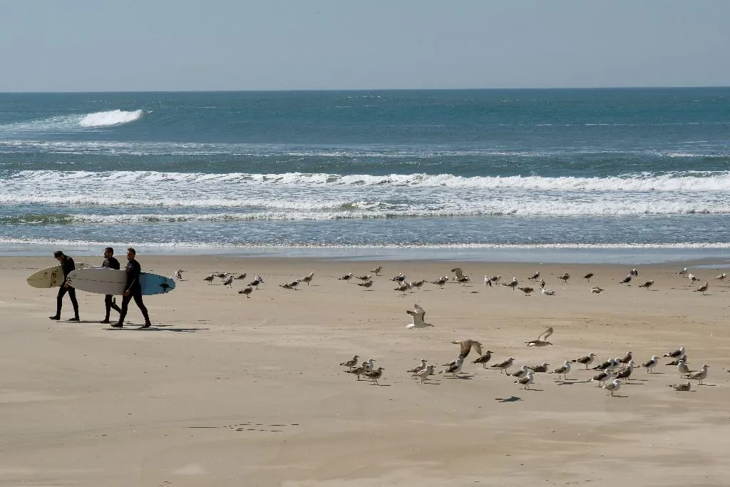 Beach, Meira, Porto