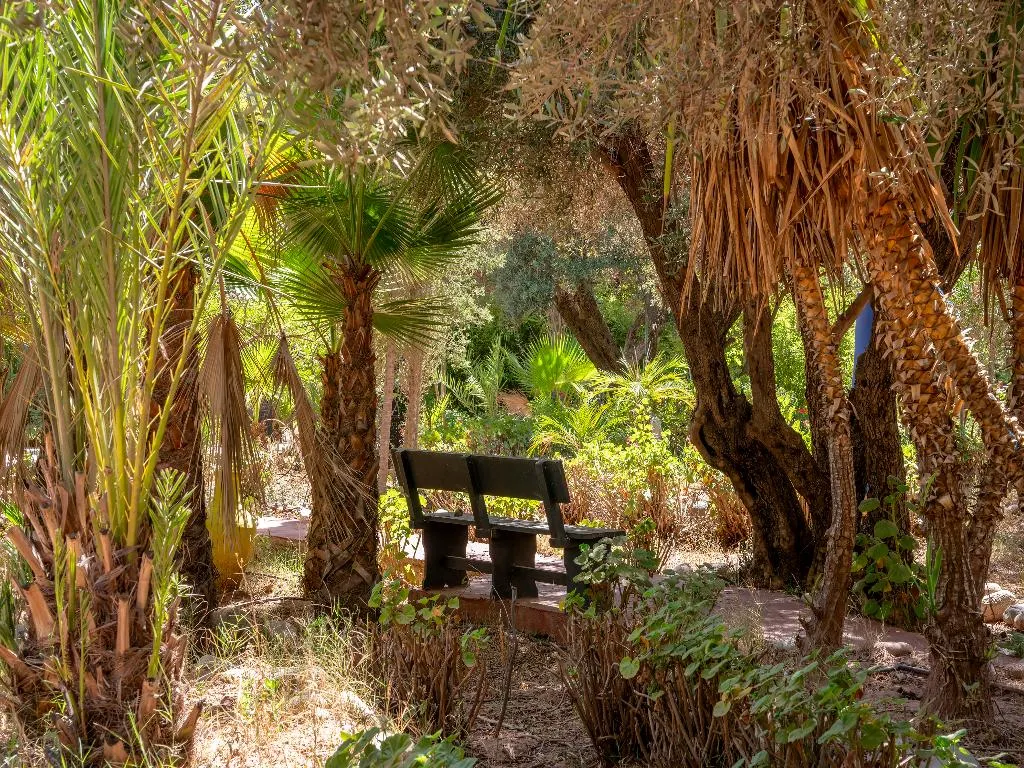 General view, Riad Cle De Sol, Marrakech