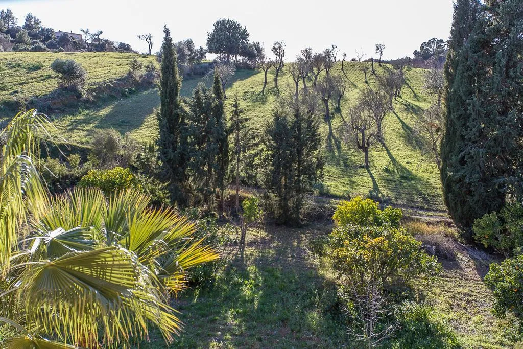 General view, Son Foguero Agroturismo, Majorca