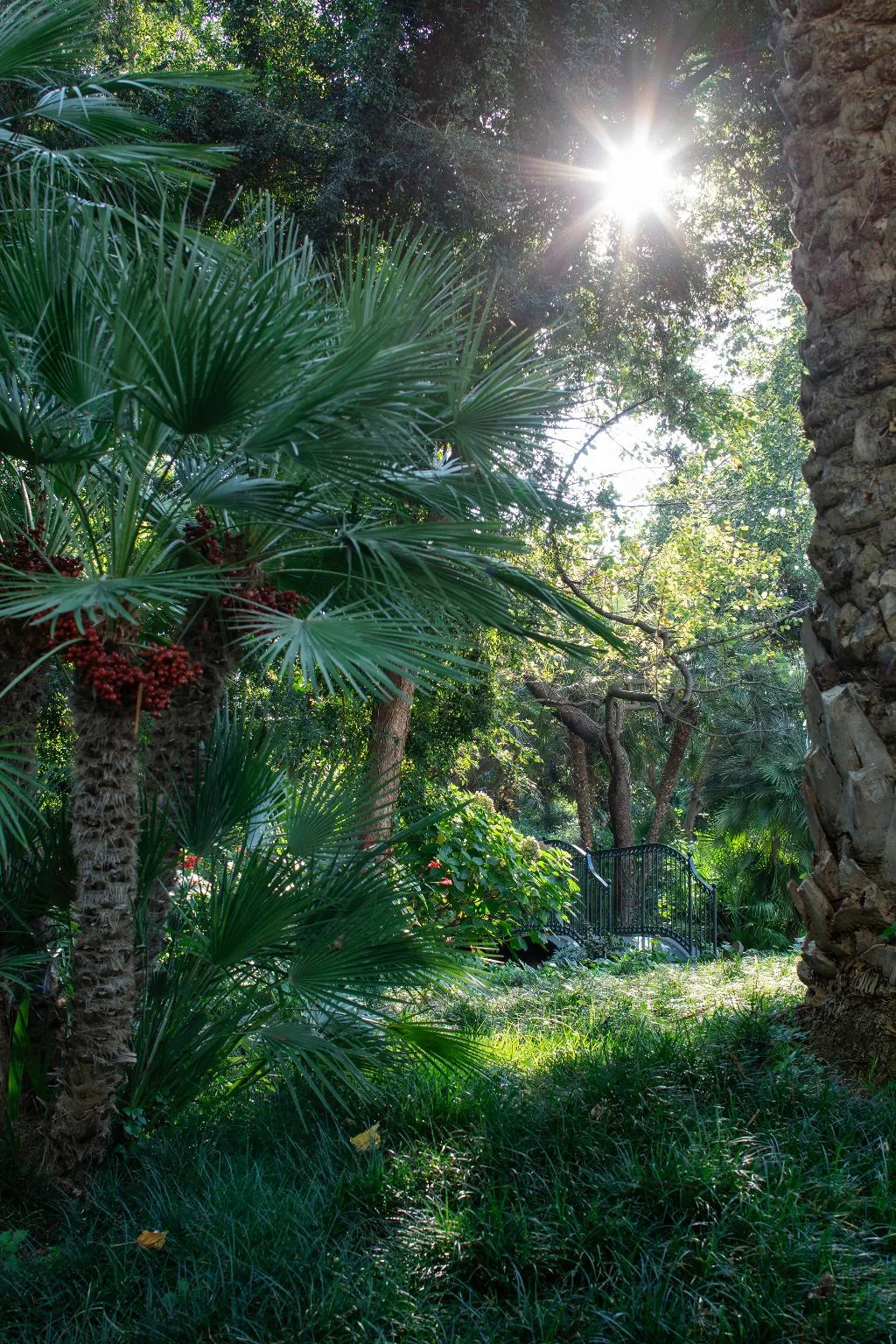 General view, Parco Dei Principi, Naples
