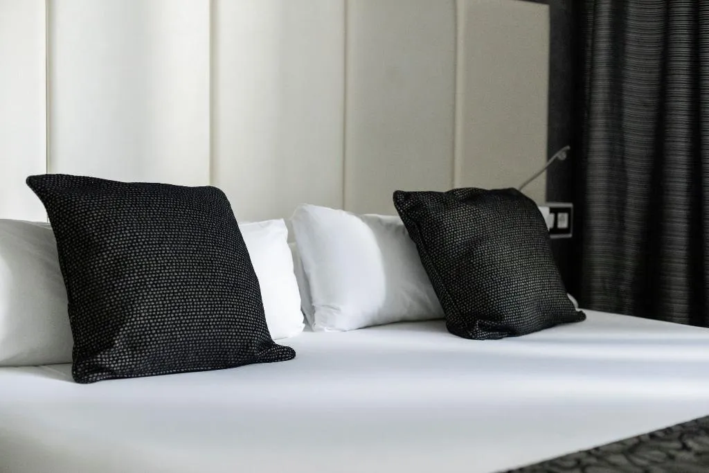 DOUBLE SINGLE USE STANDARD Room, Petit Palace Santa Barbara, Madrid