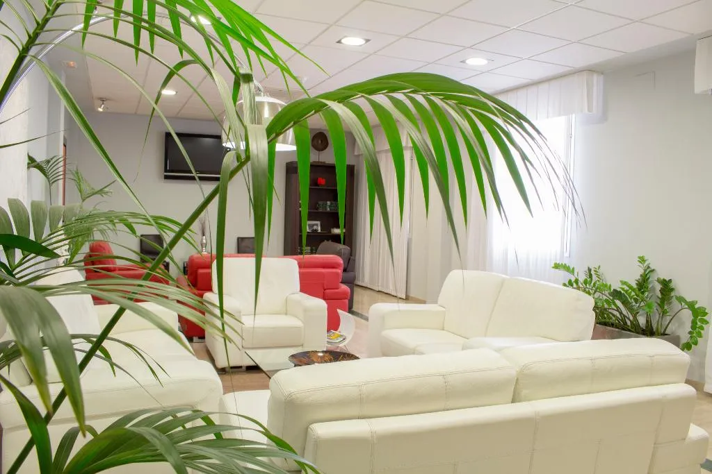 Conferences, Hotel Carmen, Costa Del Sol