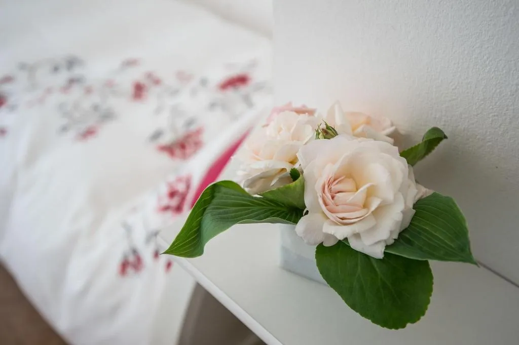 Room, La Casa Di Linda Bed And Breakfast, Venice