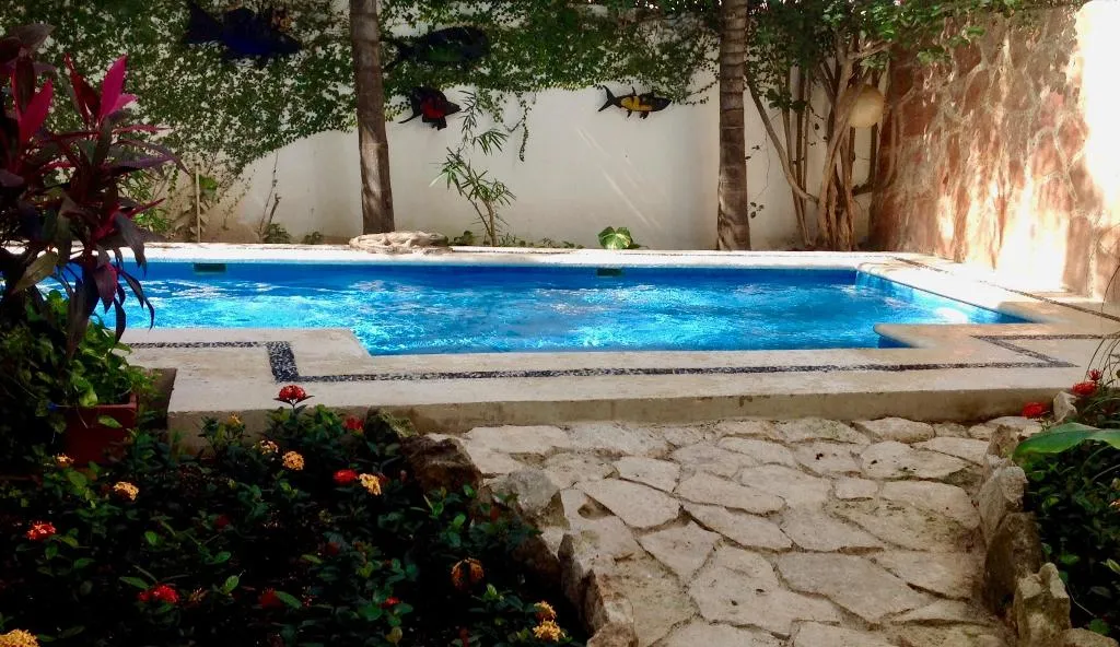 Pool, Las Golondrinas, Playa Del Carmen