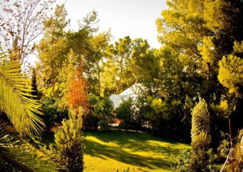 General view, Mont-Sant, Valencia