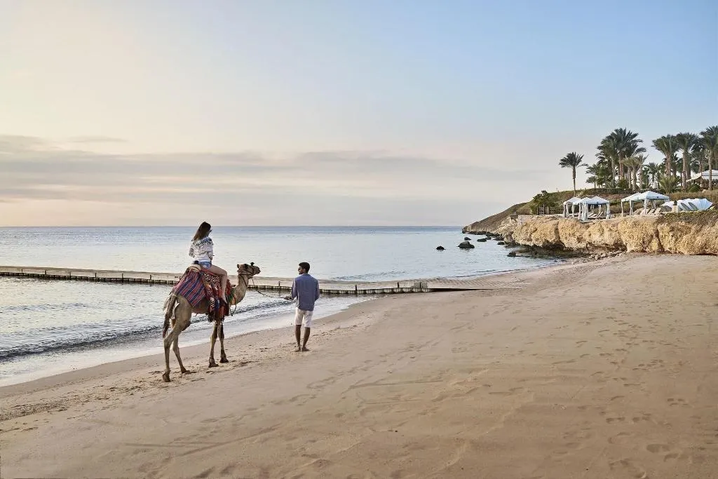 Beach, Four Seasons Resort Sharm El Sheikh, Red Sea Riviera
