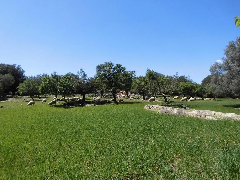 General view, Agroturismo Na Set Centes, Majorca