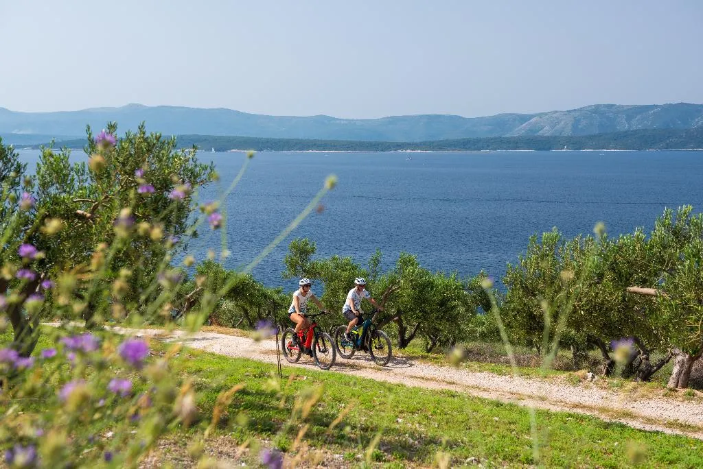 Sports and Entertainment, Bluesun Hotel Borak, Split