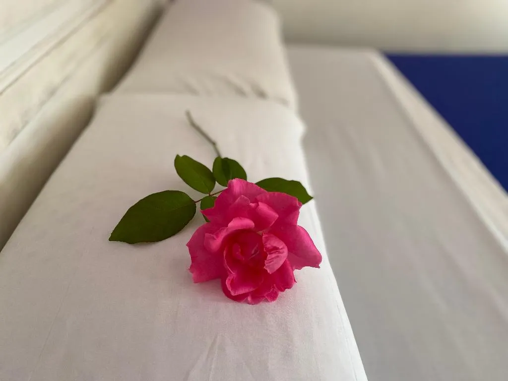 DOUBLE WITH JACUZZI Room, Moscatel Hostal, Costa Del Sol