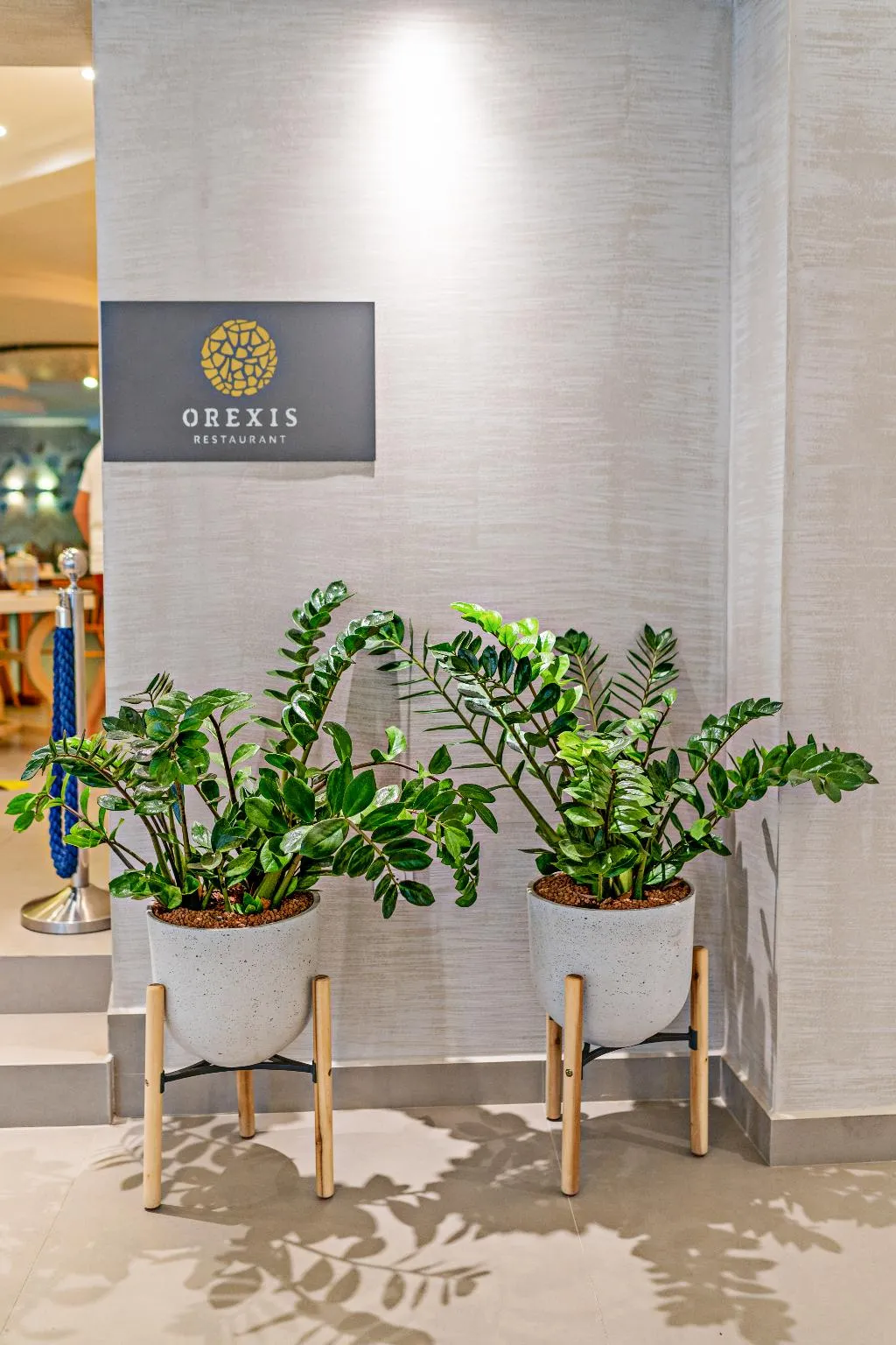Lobby, Nefeli, Corfu