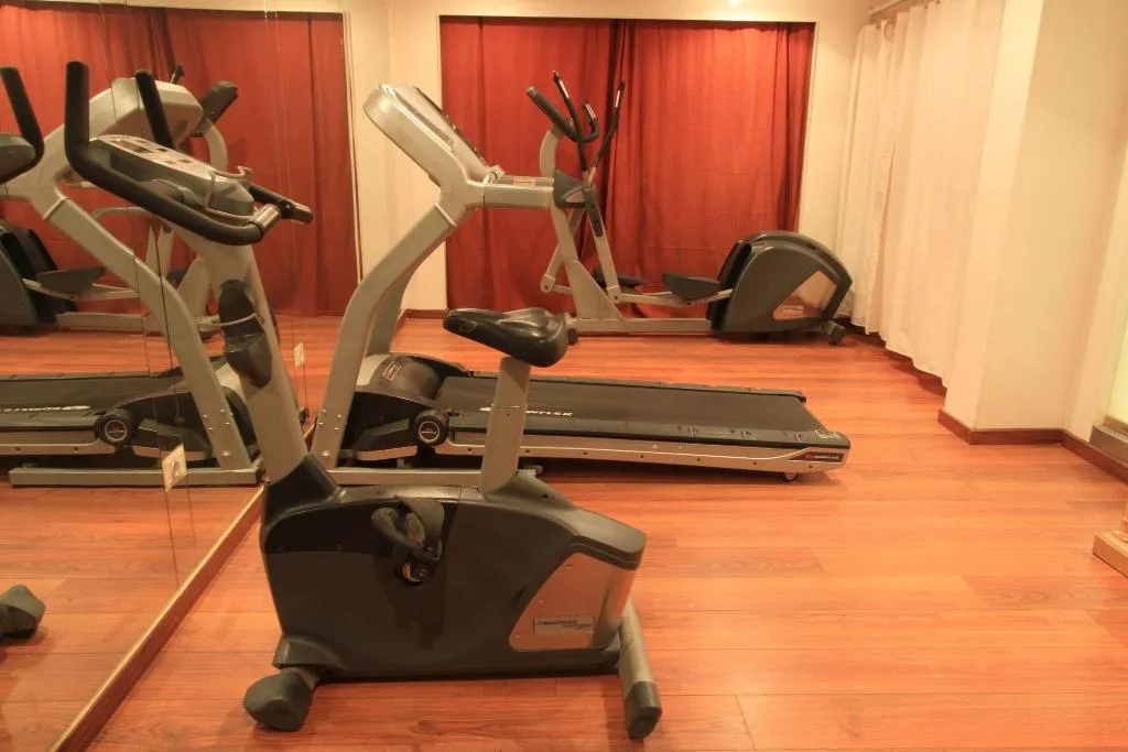 Sports and Entertainment, Le Passage Cairo Hotel & Casino, Cairo