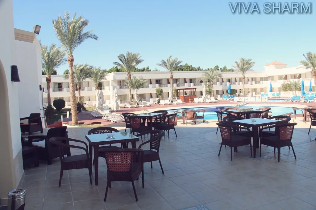 Terrace, Viva Sharm Hotel, Red Sea Riviera