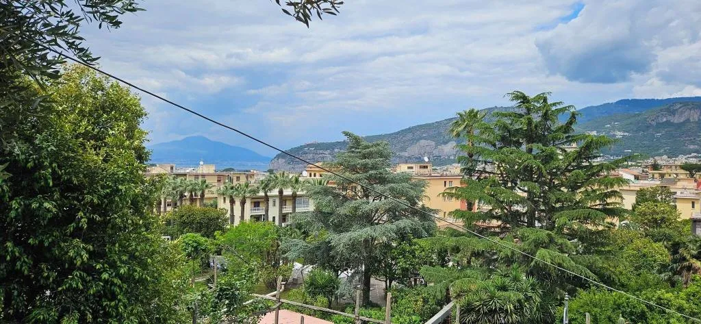 General view, Hotel Cristina, Naples