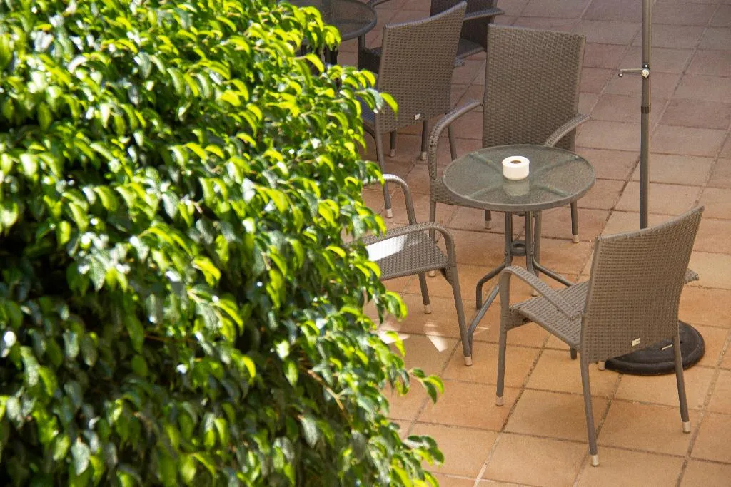 Terrace, Hotel Selva Arenal, Majorca