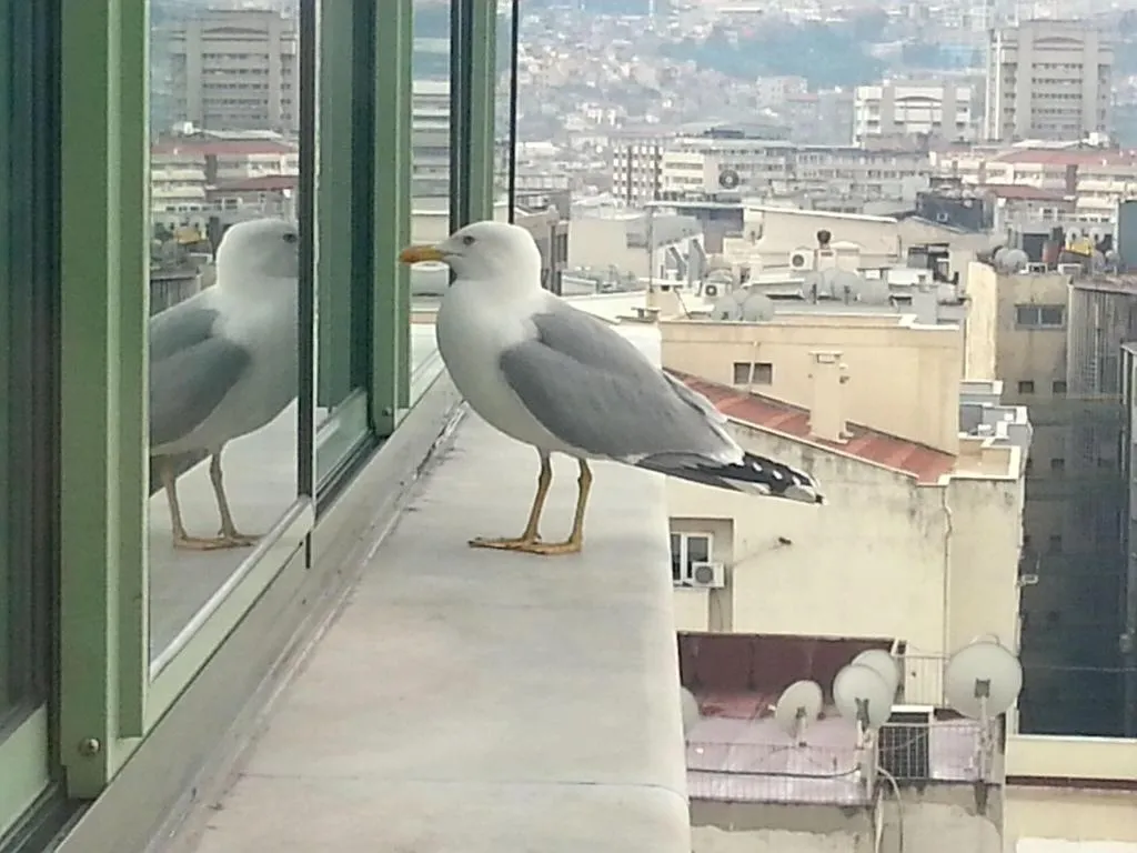 General view, Marla Hotel, Izmir